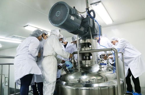 國(guó)際技術(shù)專家齊聚爾康，共商淀粉膠囊技術(shù)應(yīng)用與推廣新藍(lán)圖